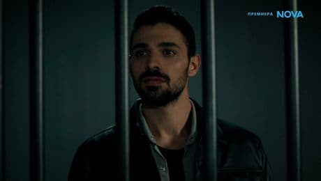 изображение на Диво сърце