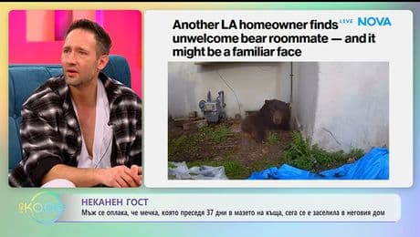 изображение на Неканен гост: Мъж се оплака, че мечка се е заселила в неговия дом - „На кафе“ (15.01.2026)
