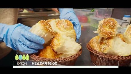 изображение на Да хванеш гората - неделя по NOVA (18.01.2026)