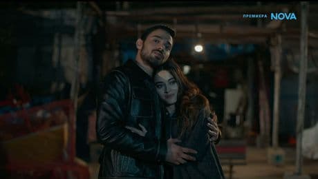 изображение на Диво сърце