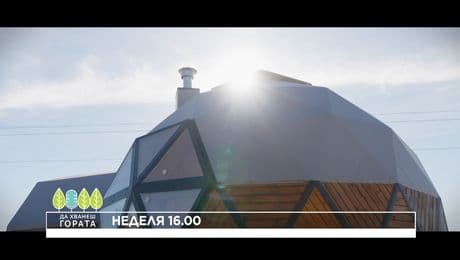 изображение на Да хванеш гората | неделя по NOVA | 25 януари 2026