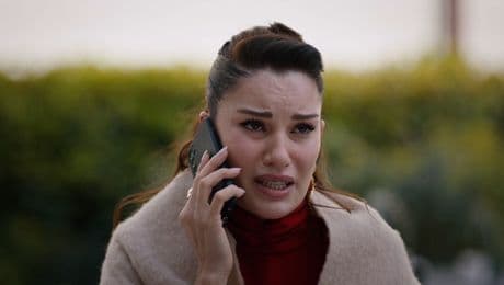 изображение на Шербет от боровинки