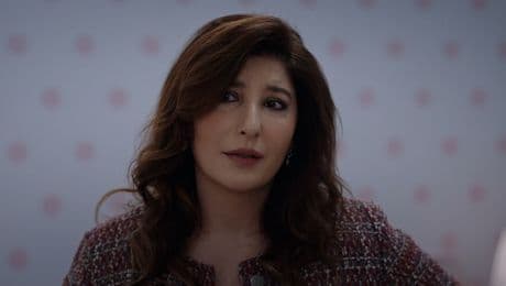 изображение на Шербет от боровинки