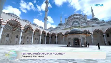 изображение на Гергана Змийчарова в Истанбул | На кафе | 5 февруари 2026