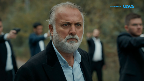 изображение на Диво сърце