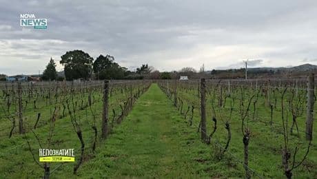 изображение на Непознатите земи | Нова Зеландия | 8 февруари 2026