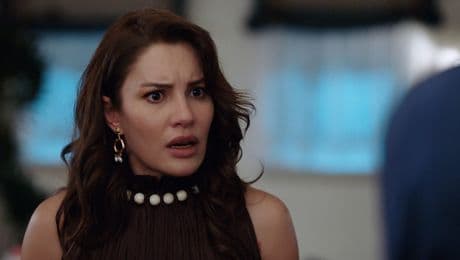 изображение на Шербет от боровинки