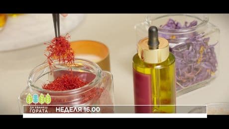 изображение на Да хванеш гората | неделя по NOVA | 15 февруари 2026