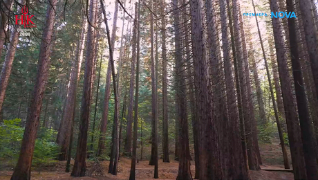 изображение на Изживей България | 14 февруари 2026