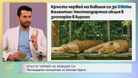 изображение на Кръсти червей на бившия си - нестандартна инициатива на Зоопарк Бургас | На кафе | 16 февруари 2026