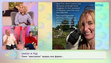 изображение на Лами „арестуваха“ крадец във ферма | На кафе | 18 февруари 2026