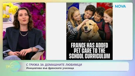 изображение на С грижа за домашните любимци: Инициатива във френските училища | На кафе | 20 февруари 2026