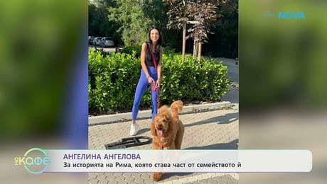 изображение на Ангелина Ангелова: Ще има ли проължение на историята на Рима? | На кафе | 20 февруари 2026