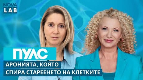 изображение на Д-р Елена Даскалова | гл.ас. Катедра „Анатомия, хистология и ембриология“, МУ – Пловдив | Пулс | 22 февруари
