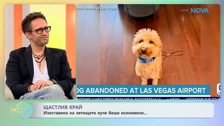 изображение на Изоставено на летището кученце беше осиновено | На кафе | 25 февруари 2026