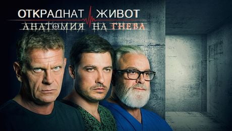 изображение на Сезон 6