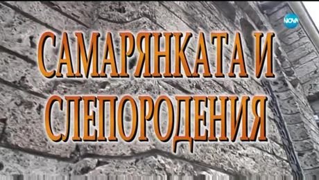 изображение на Иконостас (26.05.2019)