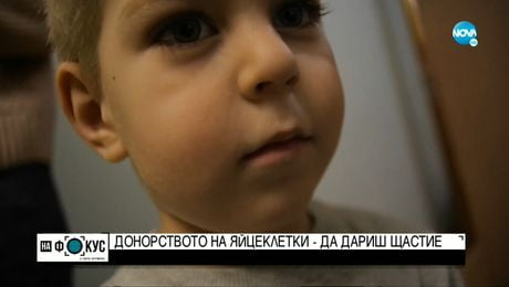 изображение на „Историите”: За донорството на яйцеклетки