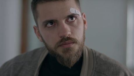 изображение на Братя