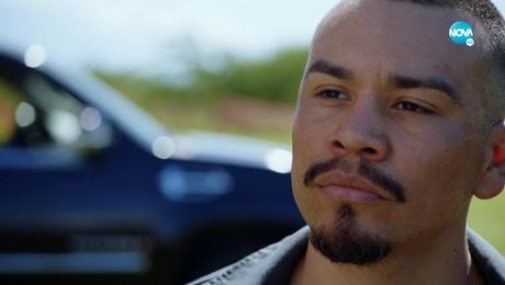 изображение на Хавай 5-0