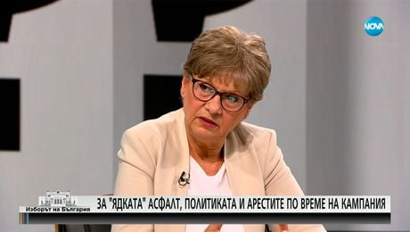 изображение на Комитова: Липсата на пазарни механизми води до дефекти