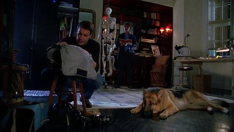 изображение на Комисар Рекс