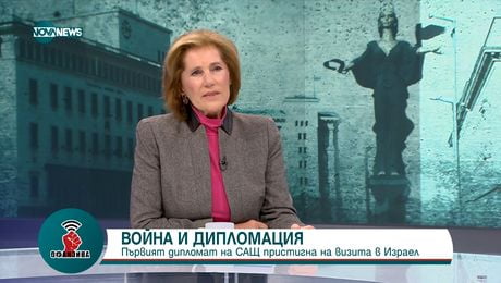 изображение на Елена Поптодорова: Широкомащабна война не е изключена