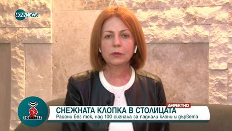 изображение на Йорданка Фандъкова за снежния капан: Трябваше по-добра координация между различните служби