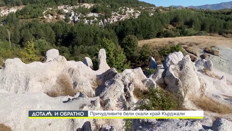 изображение на Дотам и обратно (28.11.2023)