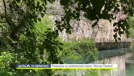 изображение на Дотам и обратно (04.12.2023)