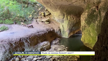 изображение на Дотам и обратно (08.12.2023)