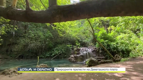 изображение на Дотам и обратно (11.12.2023)