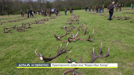 изображение на Дотам и обратно (20.12.2023)