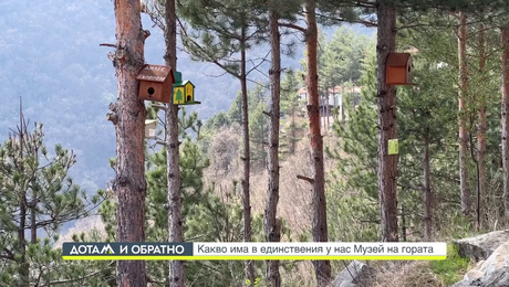 изображение на Дотам и обратно (25.12.2023)