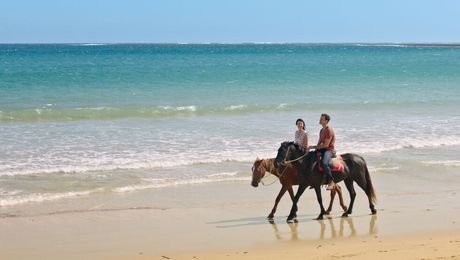 изображение на Незабравимо лято