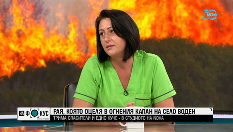 изображение на Намериха се осиновители за кучето Рая, което оцеля от пожарите във Воден