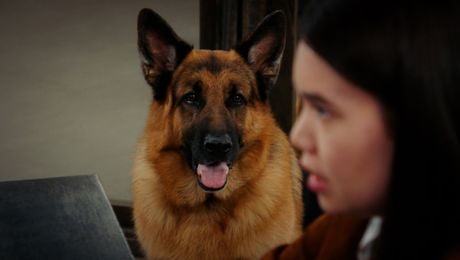 изображение на Хъдсън и Рекс