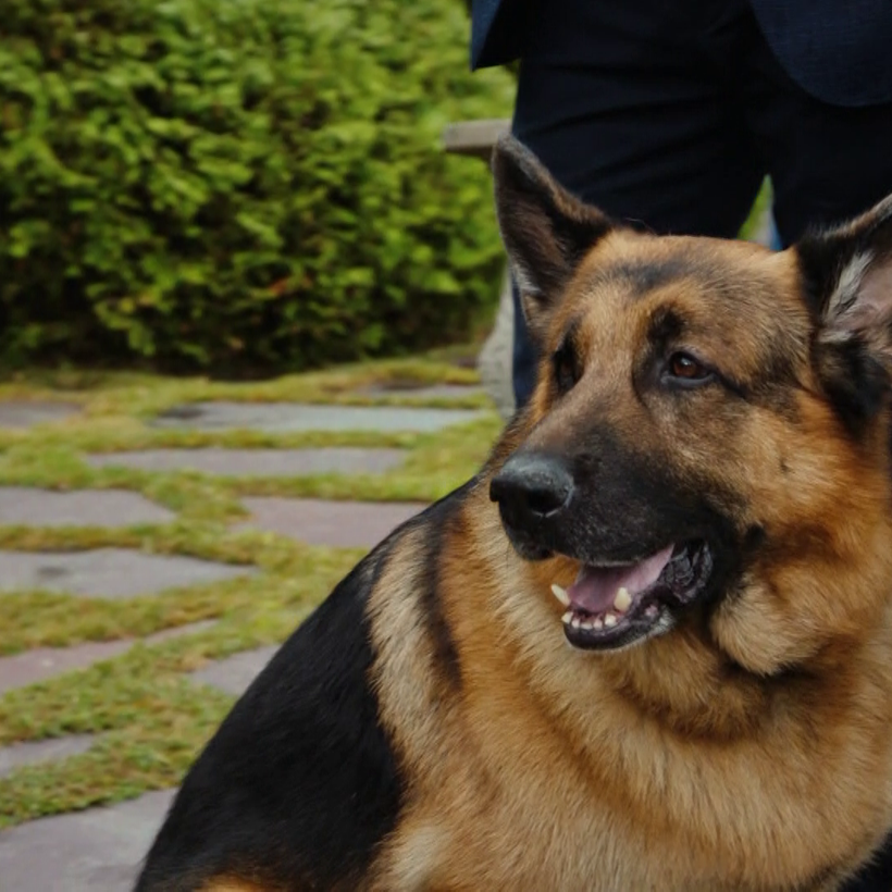 Хъдсън и Рекс