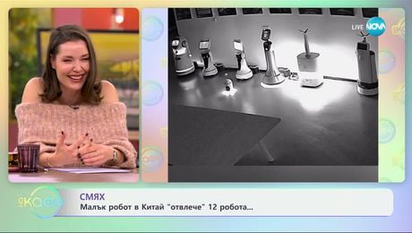изображение на Смях: Малък робот в Китай „отвлече" 12 робота... - „На кафе“ (27.11.2024)