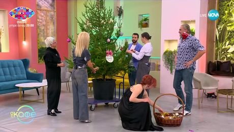 изображение на Коледно настроение: От далечна Австралия - „На кафе“ (29.11.2024)