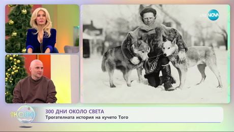 изображение на „300 дни около света“ - с Теньо: НОМЕ, АЛЯСКА - „На кафе“ (11.12.2024)