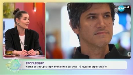 изображение на Трогателно: Котка се завърна при стопанина си след 10 години странстване - „На кафе“ (18.12.2024)