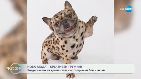 изображение на Нова мода: Креативен груминг - „На кафе“ (08.01.2025)