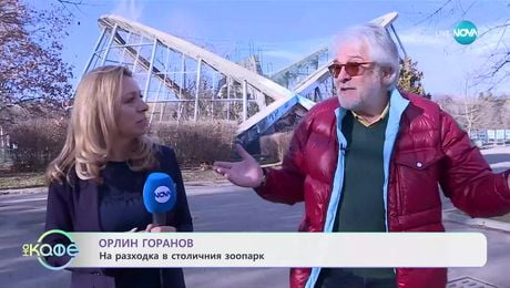 изображение на Орлин Горанов: На разходка в столичния зоопарк - „На кафе“ (29.01.2025)