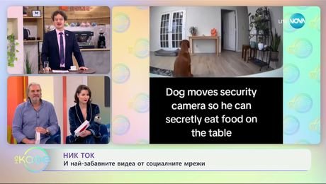 изображение на НИК ТОК: И най-забавните видеа от социалните мрежи - „На кафе“ (29.01.2025)