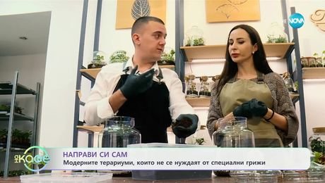 изображение на Нов хит в ботаниката: Мини терариуми с живи цветя - „На кафе“ (26.02.2025)