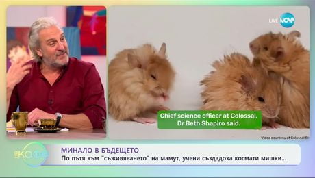 изображение на Минало в бъдещето: По пътя към „съживяването" на мамут, учените създадоха... - „На кафе“ (06.03.2025)