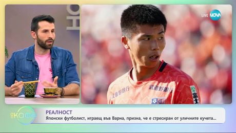 изображение на Японски футболист, играещ във Варна, призна, че е стресиран от уличните кучета - „На кафе“ (26.03.2025)