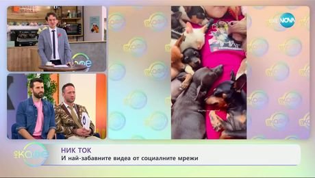 изображение на НИК ТОК: Най-любопитното от социалните мрежи - „На кафе“ (26.03.2025)