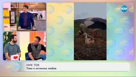изображение на НИК ТОК: Най-любопитното от социалните мрежи - „На кафе“ (16.04.2025)